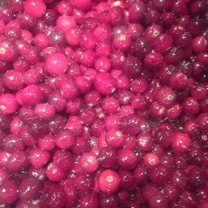 Meet your Posher, Shelley